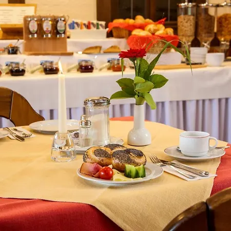 Hotel-restaurant Stern מלון