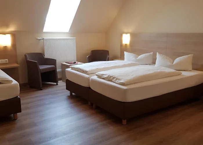 Hotel Hotel-restaurant Stern 2*